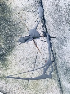 S__9019398_0