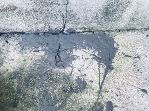 S__9019400_0