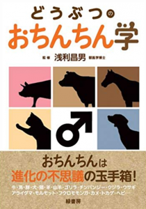 スクリーンショット 2025-06-06 120100