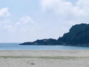 S__27869189