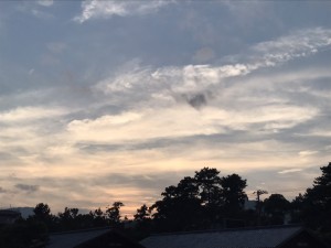 S__27951110