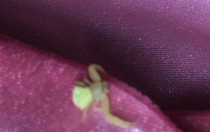 S__29327362