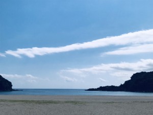 S__33718278_0