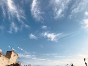 S__33718282_0