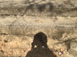 S__33734729_0