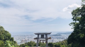 S__33742854