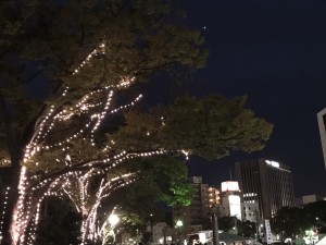 S__38043651_0