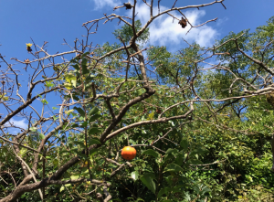 スクリーンショット 2025-11-01 134742