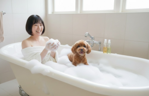 スクリーンショット 2025-12-19 220316