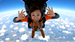 スクリーンショット 2025-12-23 024456