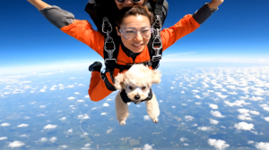 スクリーンショット 2025-12-23 024521