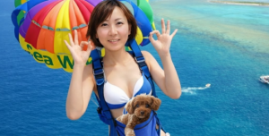 スクリーンショット 2025-12-24 122517