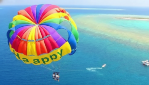 スクリーンショット 2025-12-24 124529