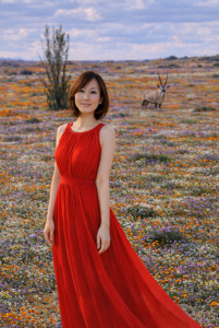 スクリーンショット 2026-01-05 120426