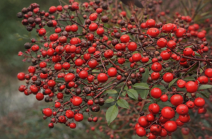 スクリーンショット 2026-01-26 121917