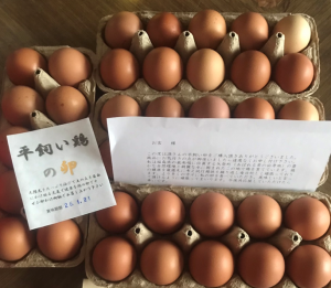 スクリーンショット 2026-01-30 082200