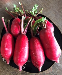 スクリーンショット 2026-01-31 121949