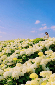 スクリーンショット 2026-03-15 135318